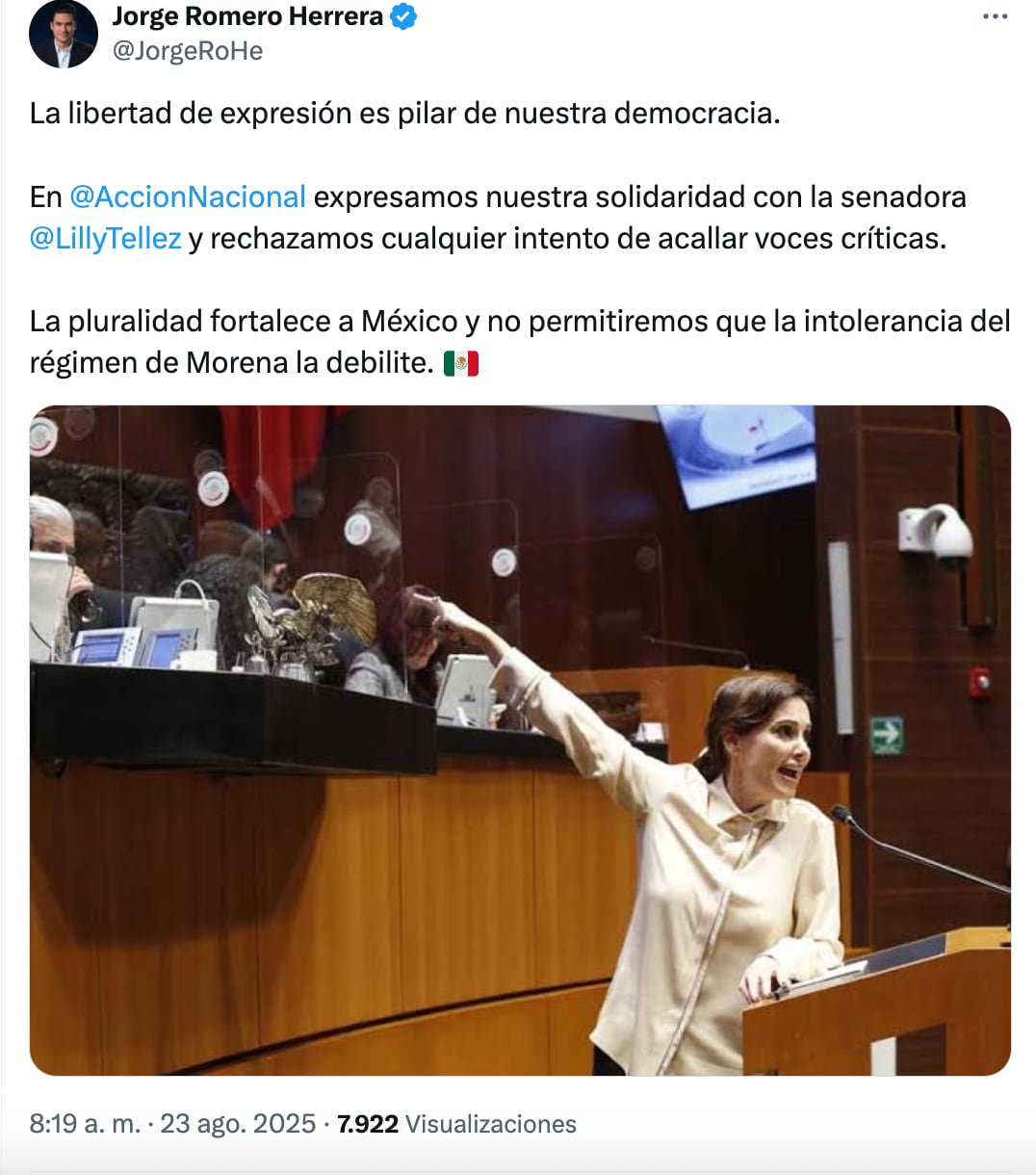 Jorge Romero Herrera defiende a Lilly Téllez