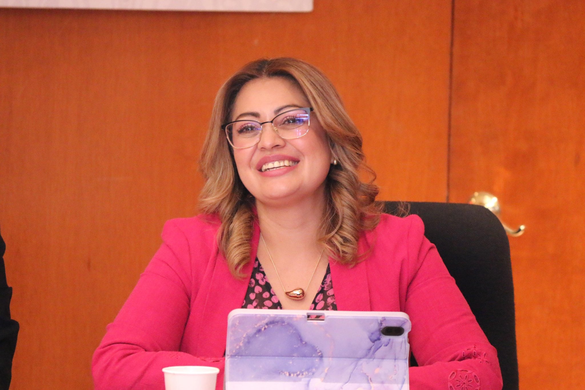 El polémico foro de cirugía estética presentado por la diputada Ana Karina Rojo en la Cámara de Diputados