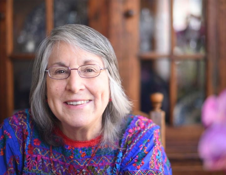 Julieta Fierro Gossman se pronuncia por Sistema Solar de los libros de la SEP