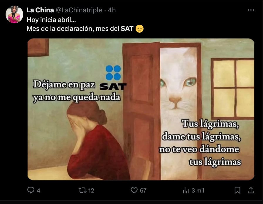 Memes por caída del SAT