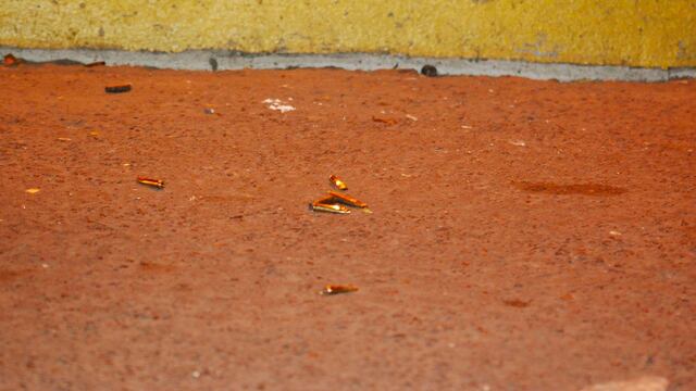 Balacera. Aumento de homicidios en Colima.