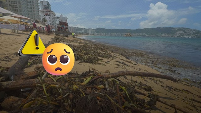 El problema que ataca playas de Acapulco a poco de las vacaciones de verano 2025.