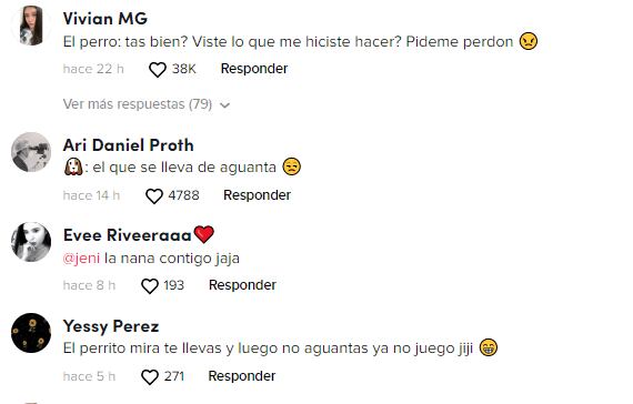 Reacciones al perrito que muerde a su dueño y se arrepintió de inmediato