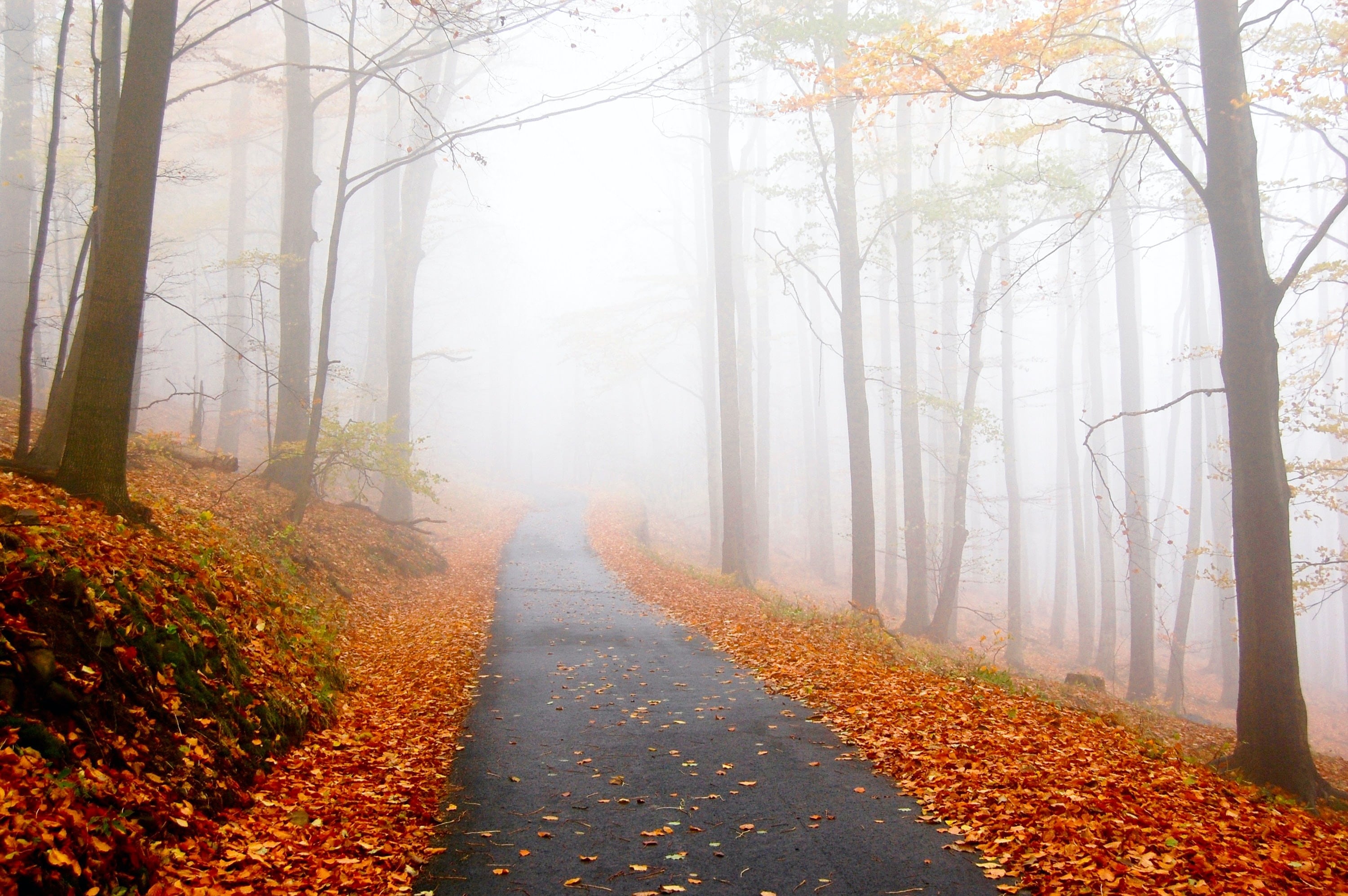 Otoño