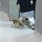 Gatita mamá lleva a su bebé al hospital y espera a que lo atiendan