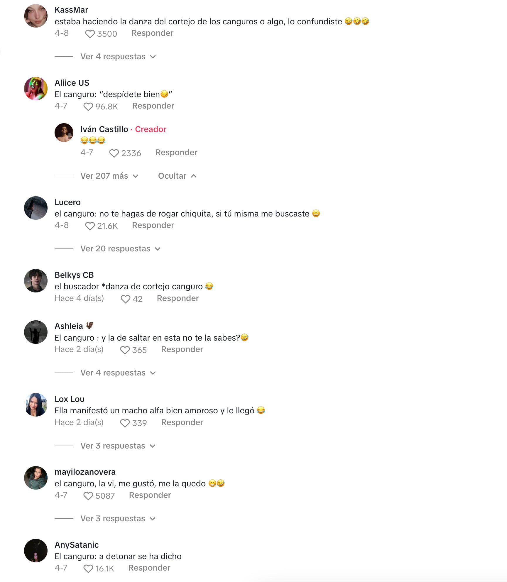 Comentarios del video en TikTok del canguro saltando con la mujer