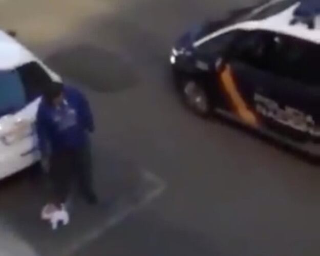 Aquí, paseando a un perro de peluche.