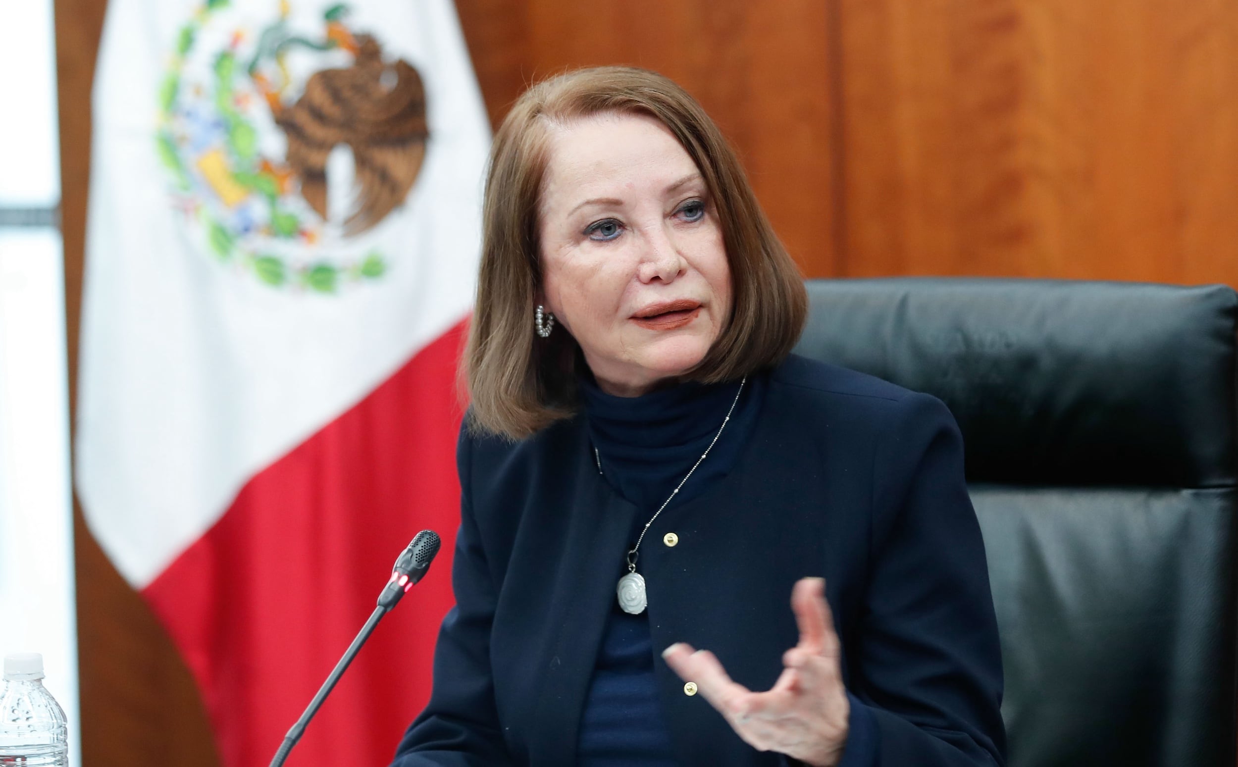 Laura Itzel Castillo, senadora de Morena