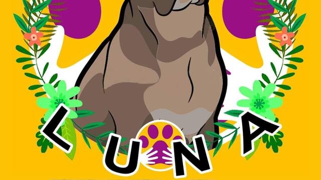 Piden Justicia para Luna