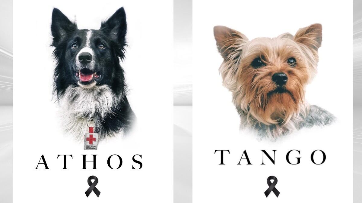 Athos y Tango