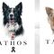 El detenido por envenenar a perros Athos y Tango fue liberado