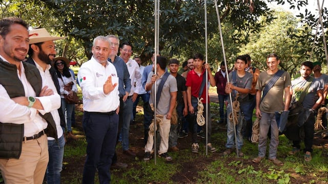 Alfredo Ramírez Bedolla emitirá decreto para certificar cultivo de aguacate