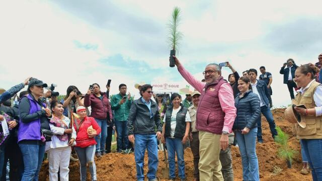 Plan de Restauración Forestal del Gobierno de Delfina Gómez en el Estado de México