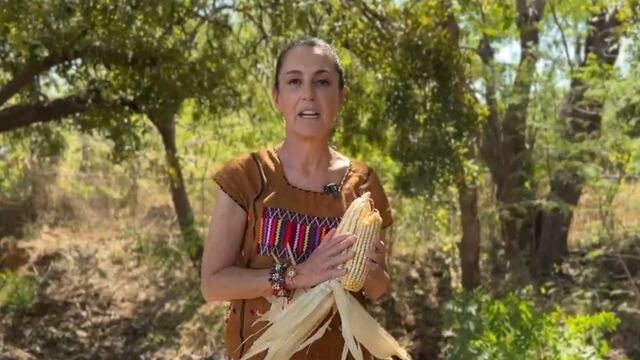 Desde Oaxaca, Claudia Sheinbaum celebra que iniciativa de reforma contra maíz transgénico ya se envió al Congreso de la Unión