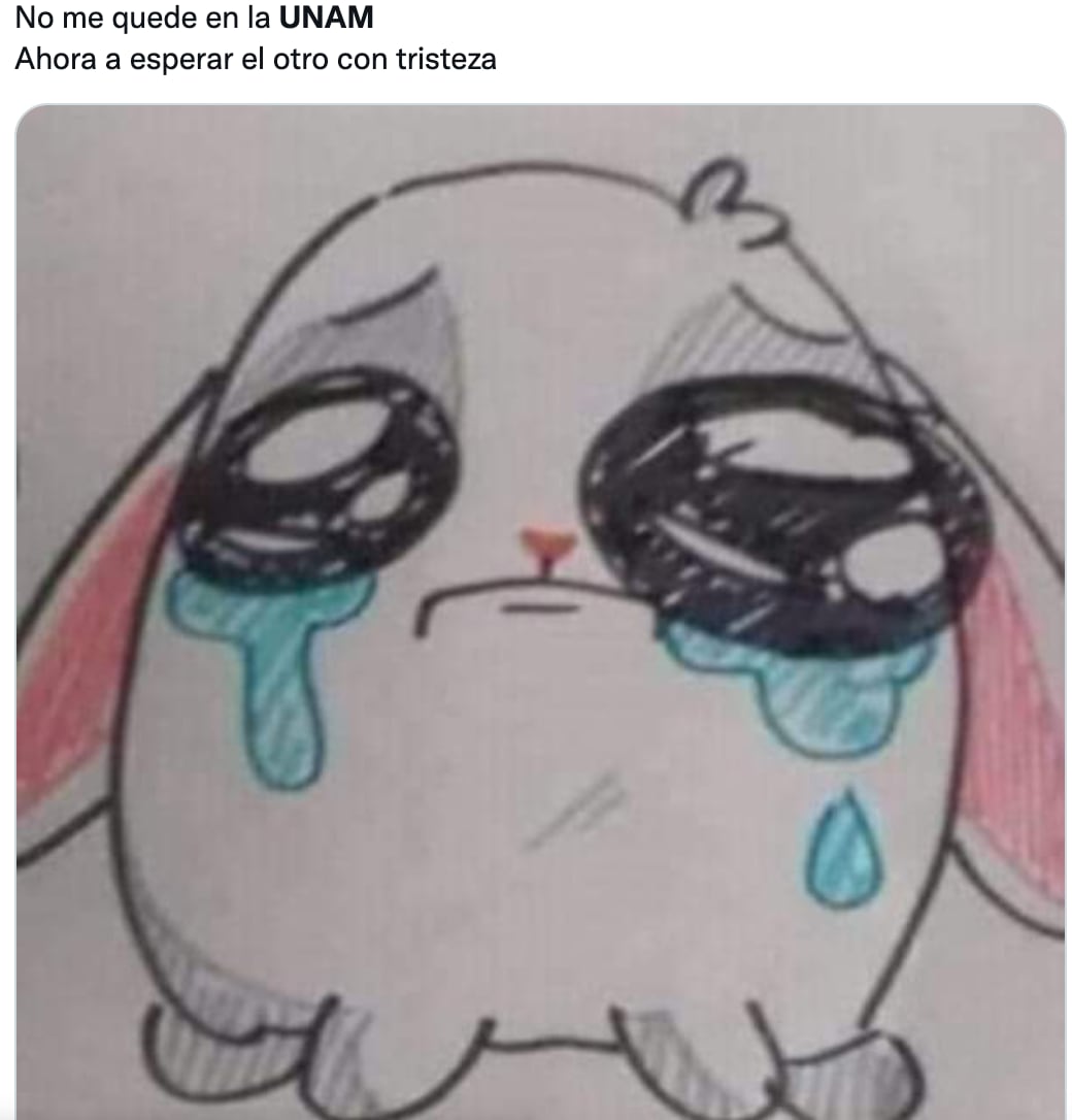 memes sobre ingreso a la UNAM