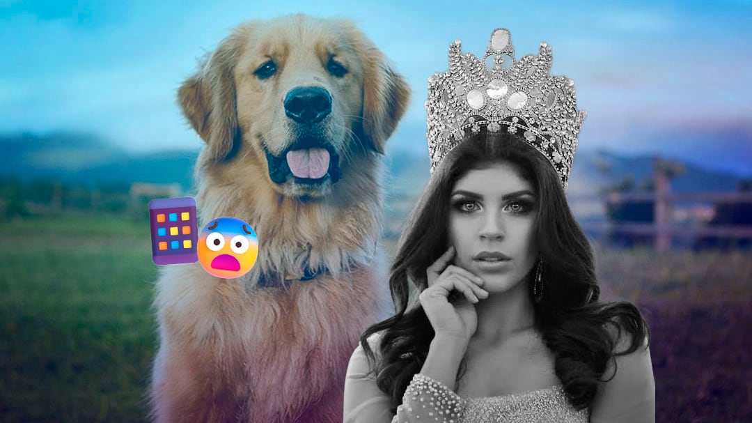 Un golden retriever, clave en la tensión previa al feminicidio de Carolina Flores
