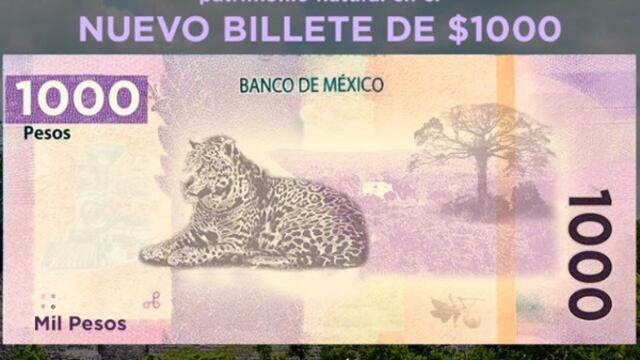 Nuevo billete de mil pesos.
