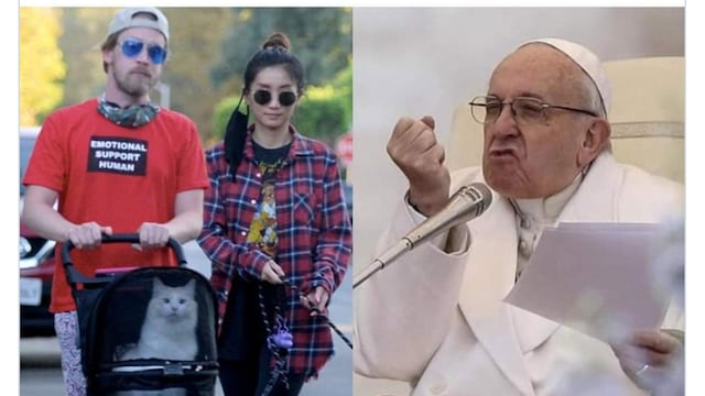 Meme del Papa Francisco y las mascotas