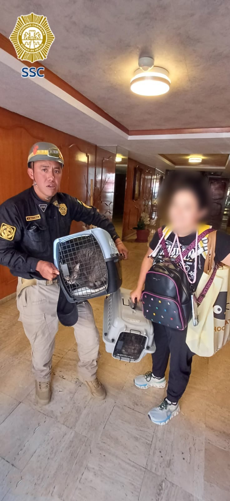 Tortuga fue rescatada de Paseos de Taxqueña