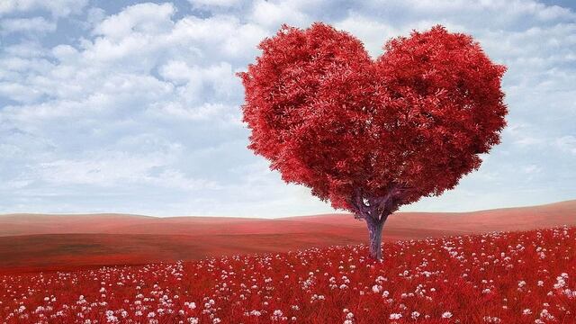 No todo es la pareja, hay 7 tipos de amor.