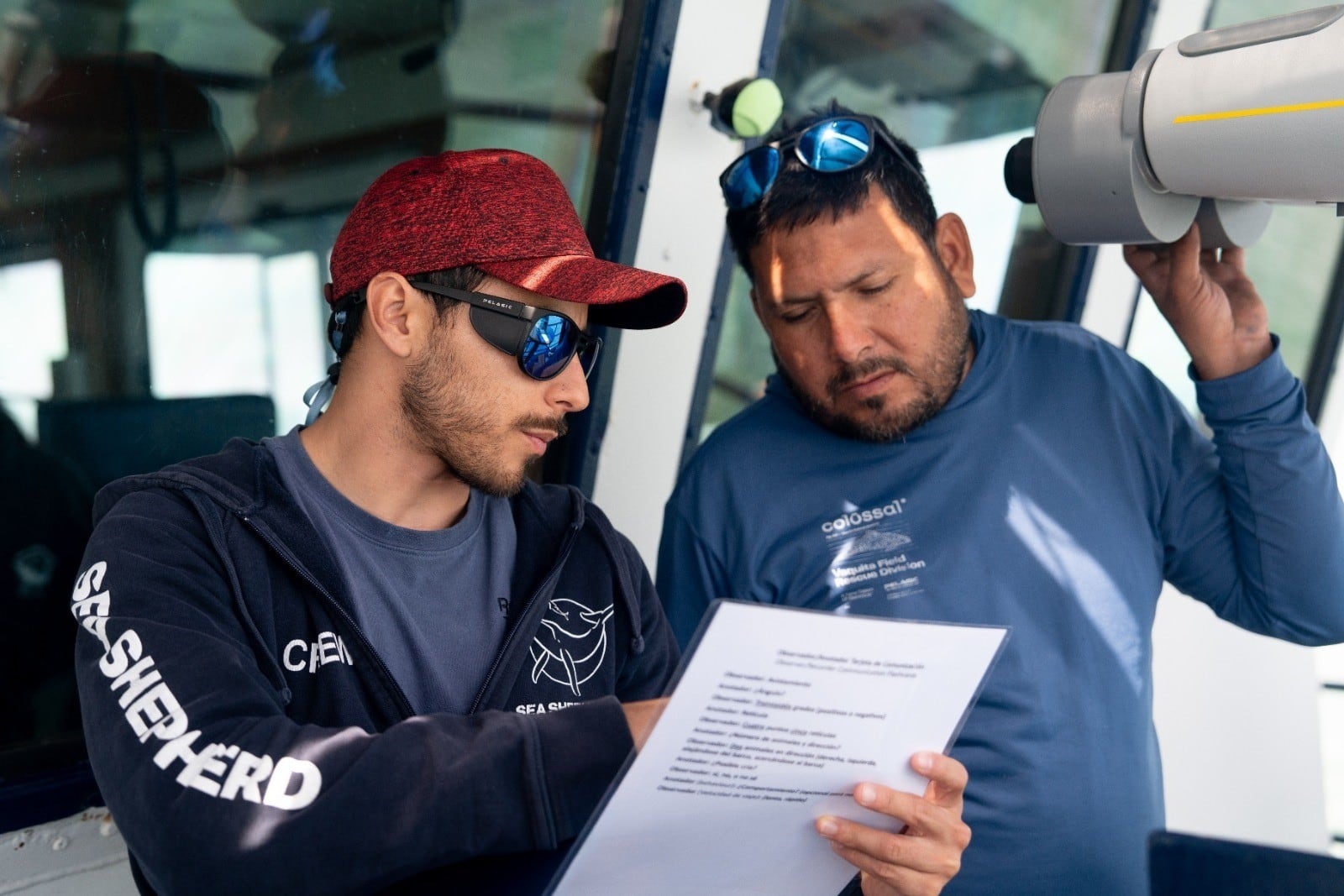 Conanp reporta avistamiento de tres vaquitas marinas; no pudieron fotografiarlas