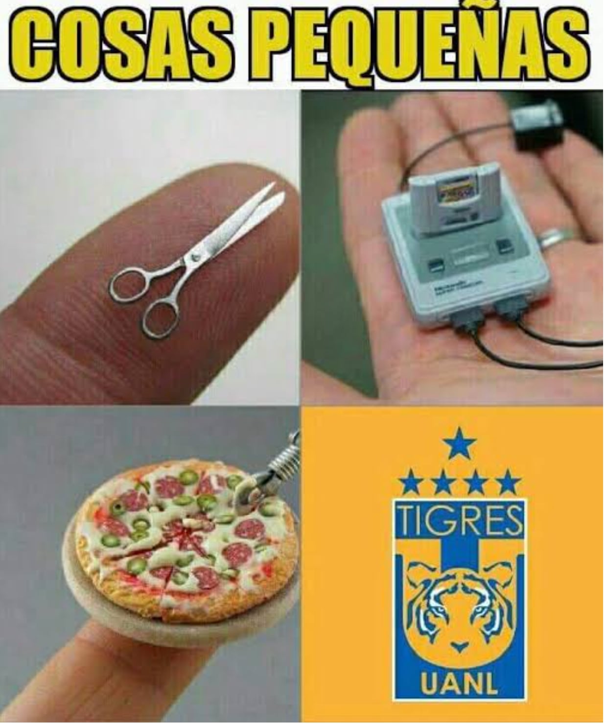 Memes Tigres UANL