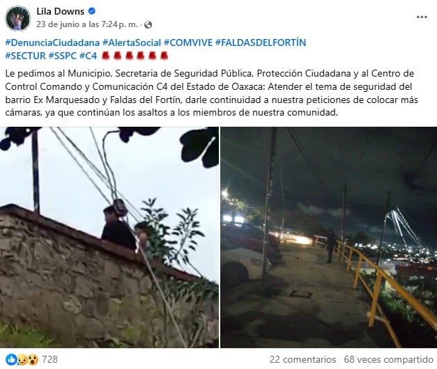 Lila Downs denuncia asaltos en Oaxaca