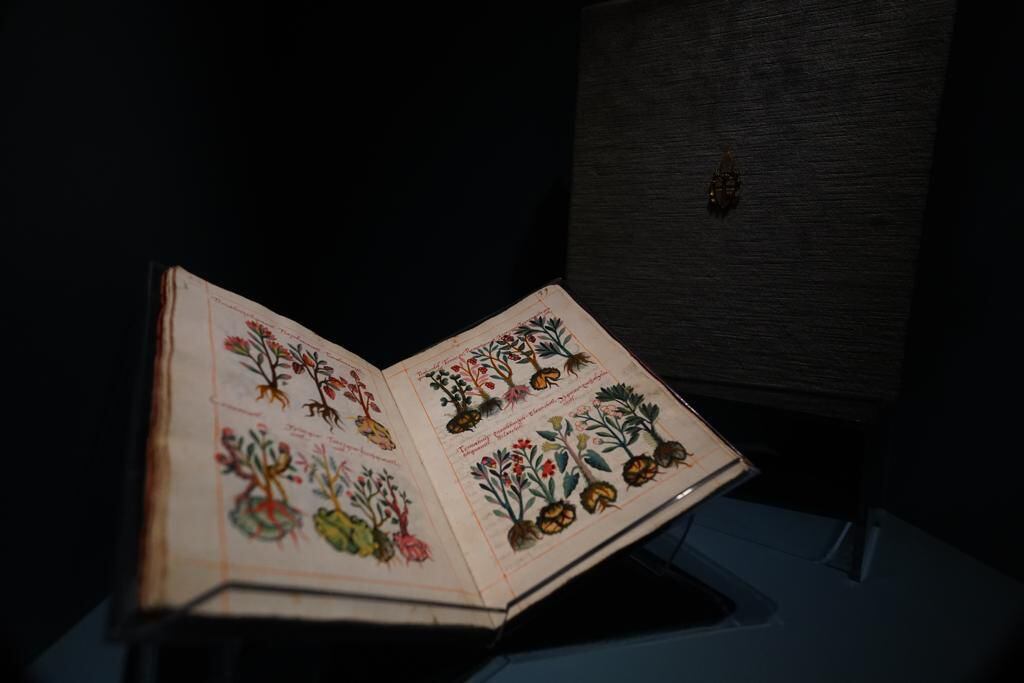 Exposición “La Grandeza de México”