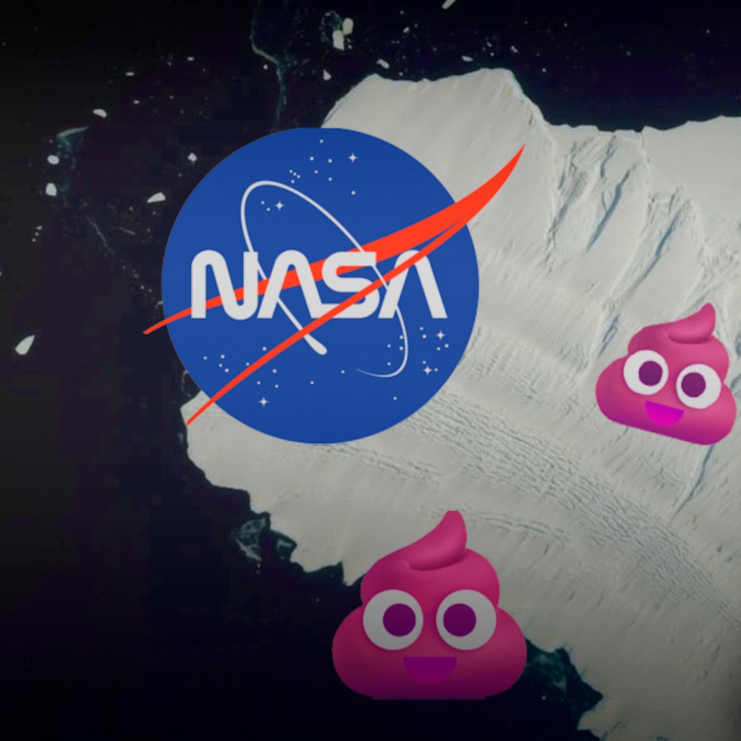 Sí, la NASA puede ver excrementos de pingüinos desde el espacio… y son rosados