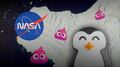 Sí, la NASA puede ver excrementos de pingüinos desde el espacio… y son rosados