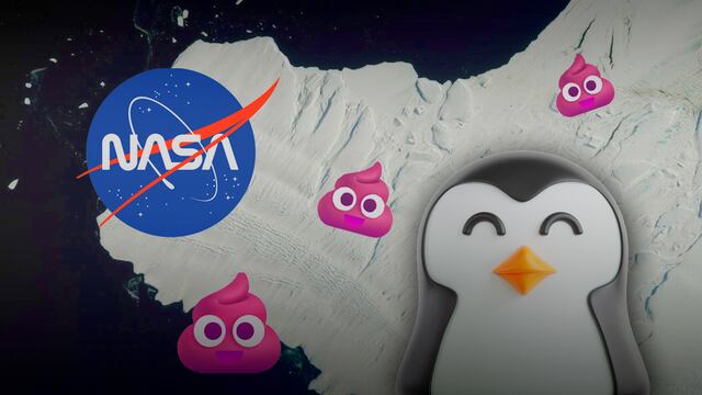 La NASA puede ver excrementos de pingüinos desde el espacio