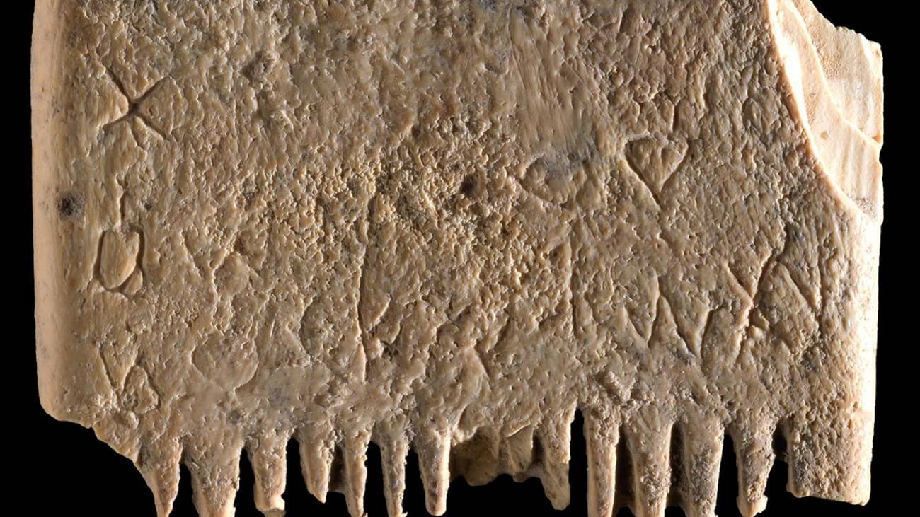 Piojos, ‘perlas de Dios’. Harvard despiojará. Torito y los piojos de la envidia