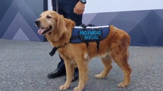 Sky, perrita de la policía de Saltillo
