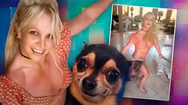 Britney Spears asusta a sus perros con baile y cuchillos