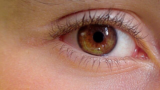 Un párpado que brinca constantemente es una señal de estrés