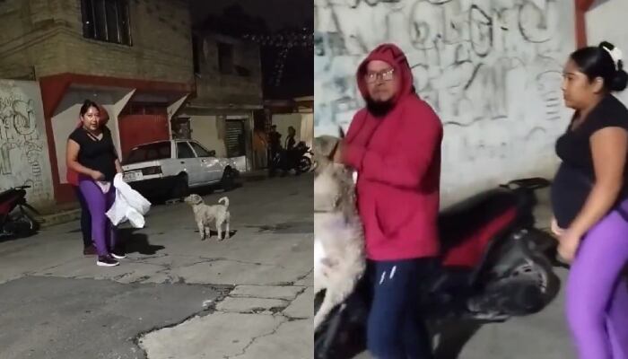 El último video de “Suadero”, el perro fue levantado en Ixtapaluca, Estado de México