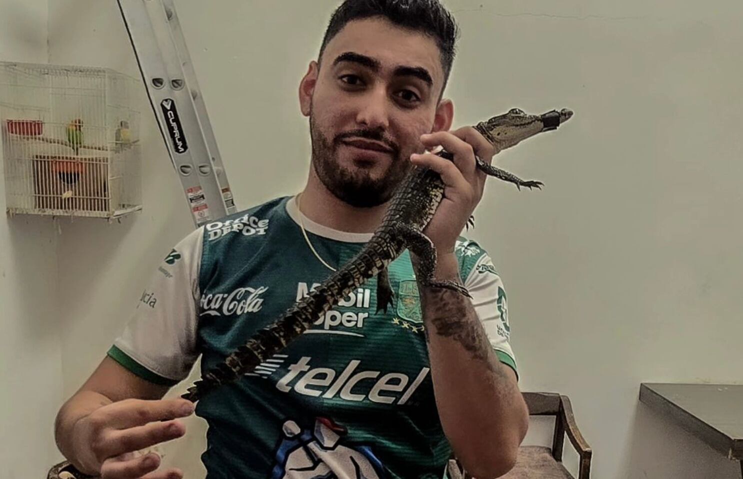 Óscar Barajas, esposo de Kimberly la más preciosa, compró un cocodrilo bebé