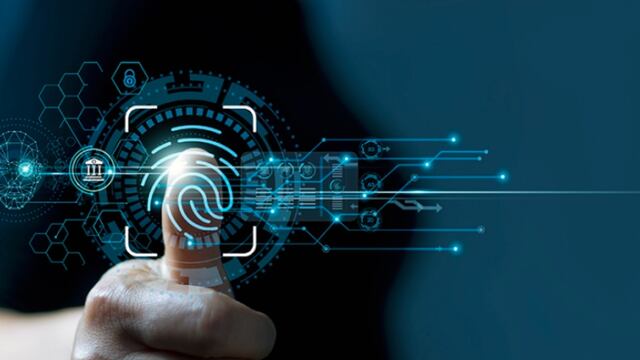 Tumba-burros Digital