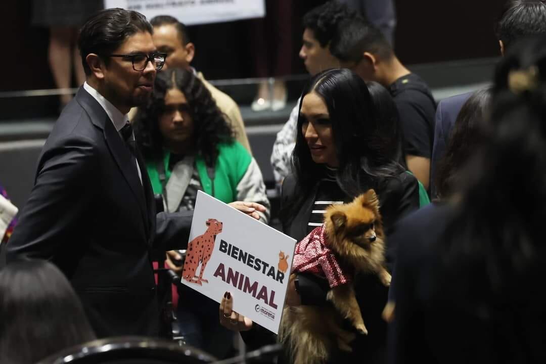 Reforma contra maltrato animal fue aprobada por la Cámara de Diputados