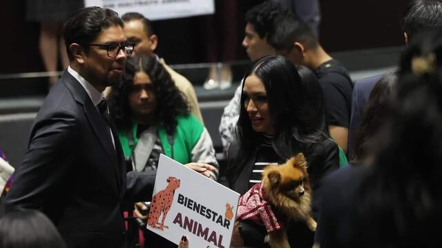 Reforma contra maltrato animal fue aprobada por la Cámara de Diputados
