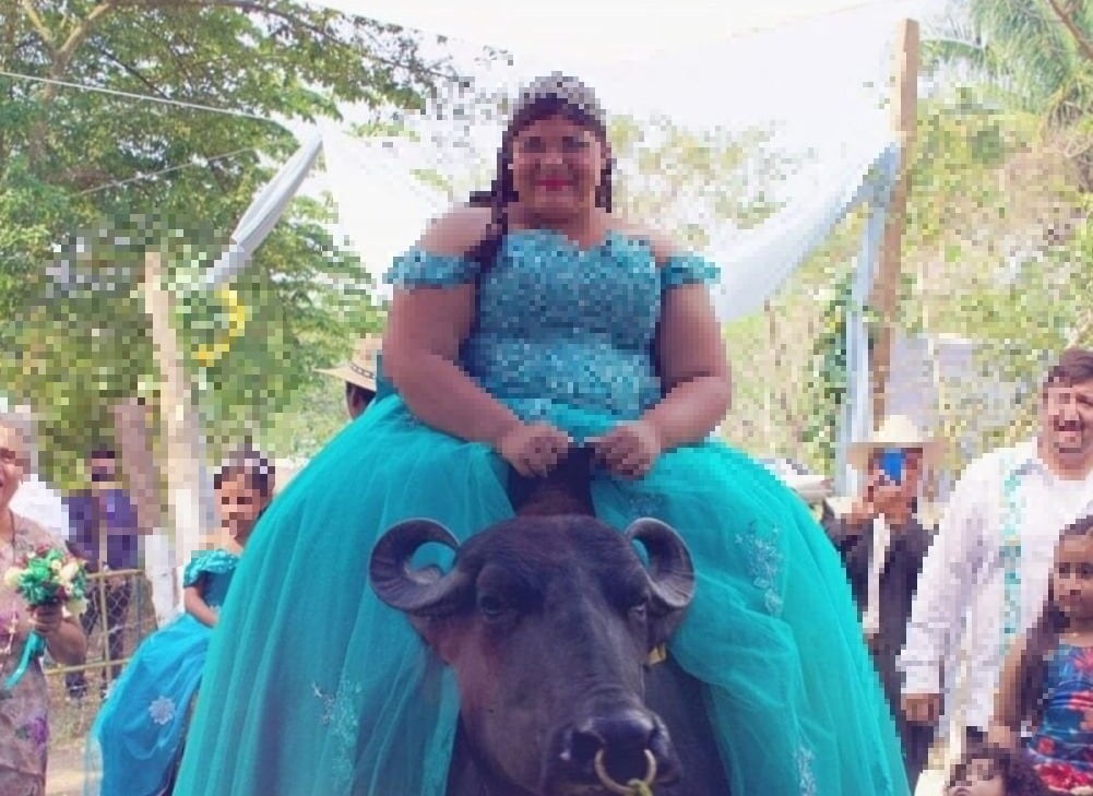 Cumpleañera llegó en búfalo a su fiesta