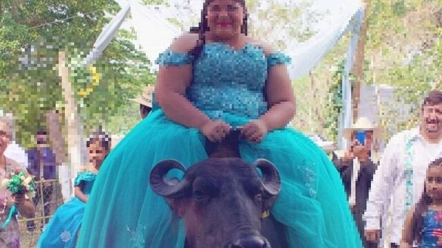 Cumpleañera llegó en búfalo a su fiesta