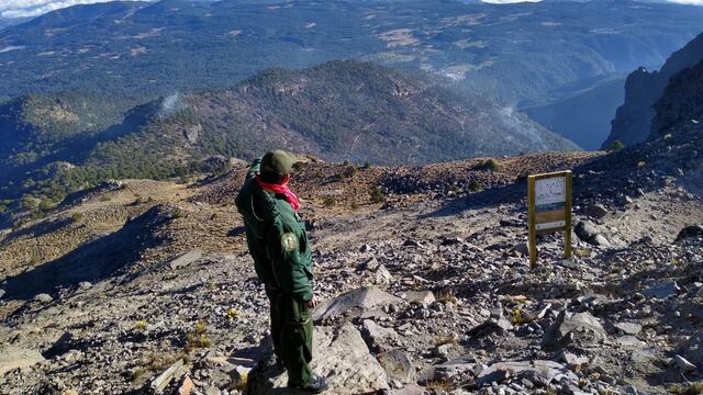 Incendio en Cofre de Perote en Veracruz afecta 20 hectáreas