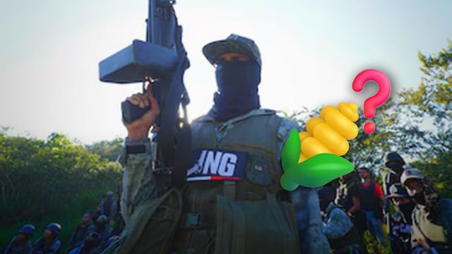 ¿Qué es el Cártel del Maíz?