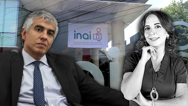 María Esther Azuela y Sergio López Ayón son los nuevos integrantes del comité