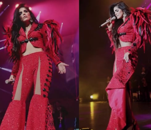 Ana Bárbara se cae durante concierto