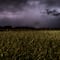 ¿Puedes oler cuando la lluvia se acerca? La ciencia confirma que esa habilidad es única