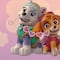 10 dibujos de Skye y Everest de Paw Patrol para colorear de las cachorras de la patrulla canina