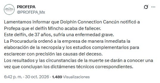 Murió Mincho, el delfín cuya historia impulsó una ley contra espectáculos marinos