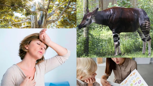 Efemérides del 18 de octubre